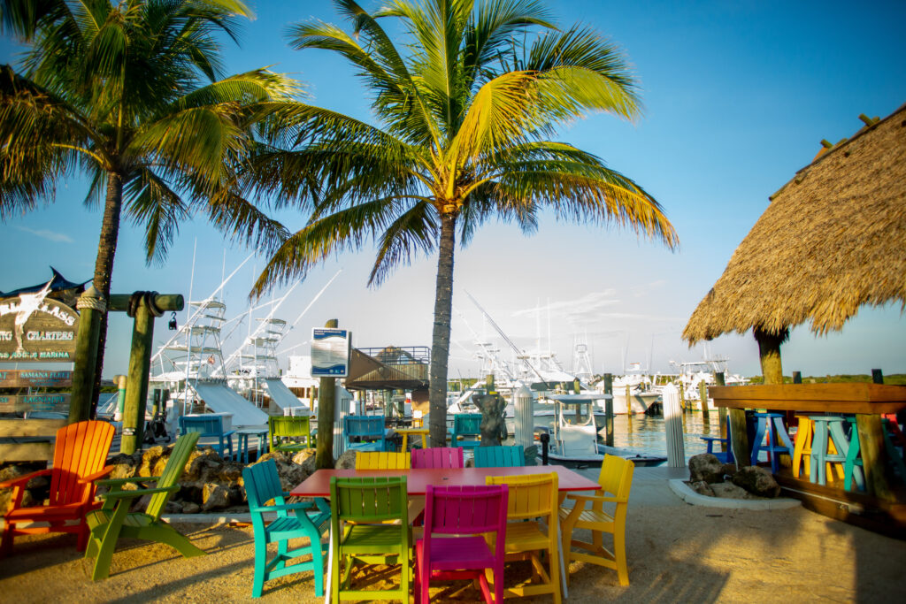 Enjoy Live Music & Delicious Cuisine at Tiki 52 Bar & Grill